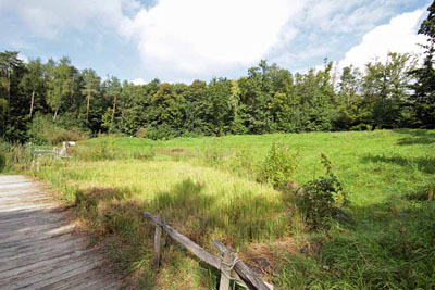 FA-Adler-Mergentheim-18_09_10-0352