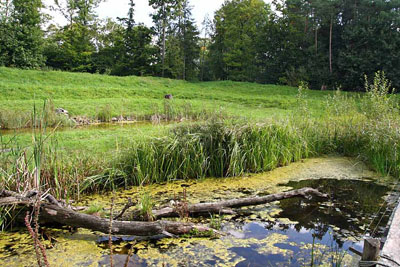 FA-Adler-Mergentheim-18_09_10-3178