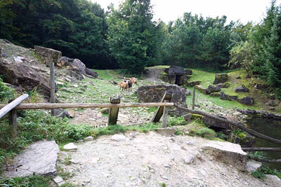 FA-Alpensteinbock-Mergentheim-18_09_10-3113