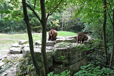 FA-Baer-Mergentheim-18_09_10-3135