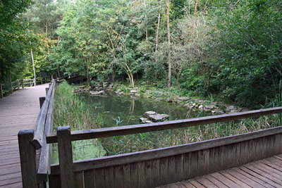 FA-Fischotter-Mergentheim-18_09_10-3132