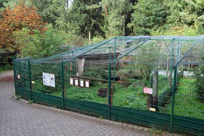 FA-Gehege-Wildpark Pforzheim-02_10_10-4453