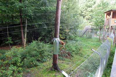 FA-Gehege-Wildpark Pforzheim-02_10_10-4455