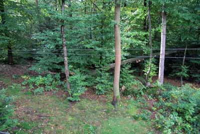 FA-Gehege-Wildpark Pforzheim-02_10_10-4456