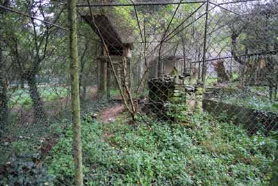 FA-Gehege-Wildpark Pforzheim-02_10_10-4477