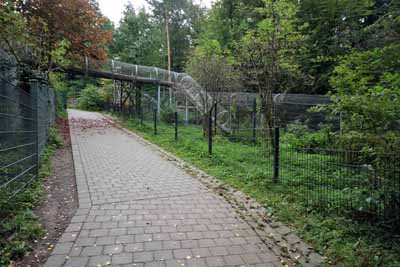 FA-Gehege-Wildpark Pforzheim-02_10_10-4480