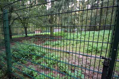 FA-Gehege-Wildpark Pforzheim-02_10_10-4481