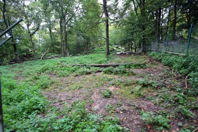 FA-Gehege-Wildpark Pforzheim-02_10_10-4486