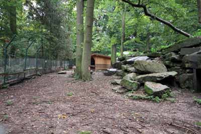 FA-Gehege-Wildpark Pforzheim-02_10_10-4488