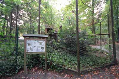 FA-Gehege-Wildpark Pforzheim-02_10_10-4515