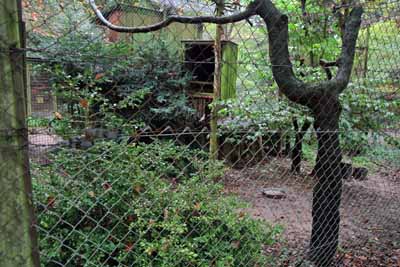 FA-Gehege-Wildpark Pforzheim-02_10_10-4547