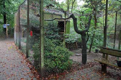 FA-Gehege-Wildpark Pforzheim-02_10_10-4548