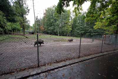 FA-Gehege-Wildpark Pforzheim-02_10_10-4612