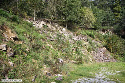 FA-Geier-Mergentheim-18_09_10-3139