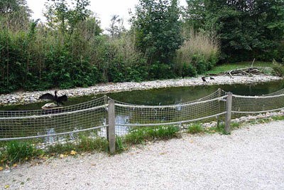 FA-Kormoran-Mergentheim-18_09_10-3363