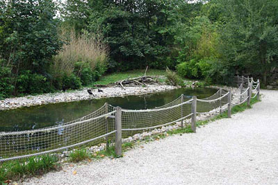 FA-Kormoran-Mergentheim-18_09_10-3364