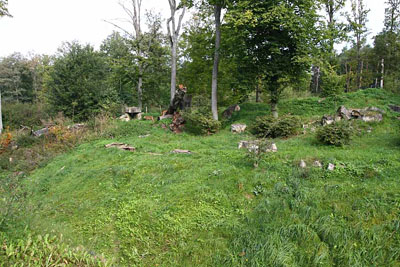 FA-Luchs-Mergentheim-18_09_10-3137