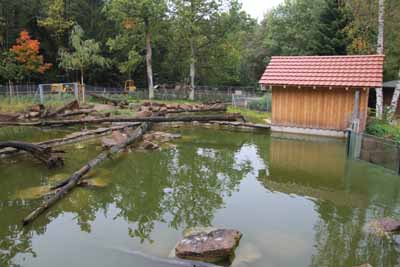 FA-Mufflon-Wildpark Pforzheim-02_10_10-4406