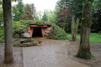 FA-Mufflon-Wildpark Pforzheim-02_10_10-4410