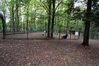 FA-Schwarzhalsziege-Wildpark Pforzheim-02_10_10-4577