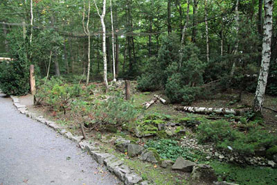 FA-Sibirischer Uhu-Mergentheim-18_09_10-9695