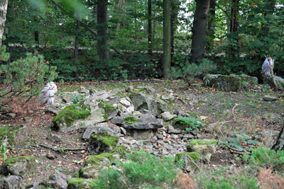 FA-Sibirischer Uhu-Mergentheim-18_09_10-9696