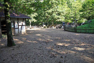 FA-Streichelzoo-Mergentheim-18_09_10-3172