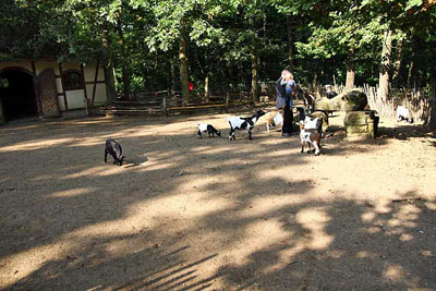 FA-Streichelzoo-Mergentheim-18_09_10-3174