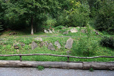 FA-Wildkatze-Mergentheim-18_09_10-3317