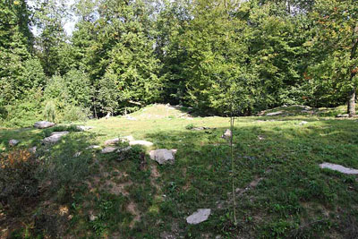 FA-Wolf-Mergentheim-18_09_10-3164