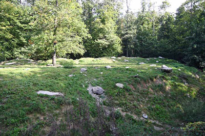 FA-Wolf-Mergentheim-18_09_10-3165