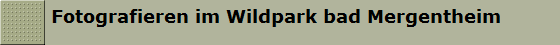 Fotografieren im Wildpark bad Mergentheim
