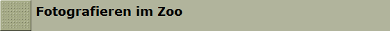 Fotografieren im Zoo